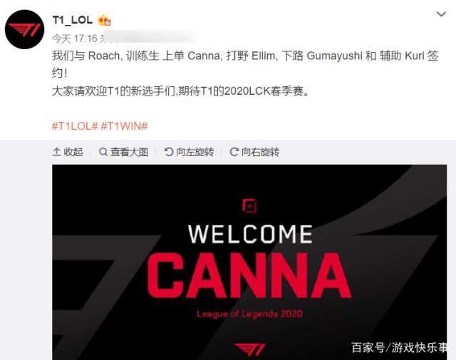 黄雅琼&刘雨辰今日大婚！马龙、王楚钦、樊振东等人送上祝福